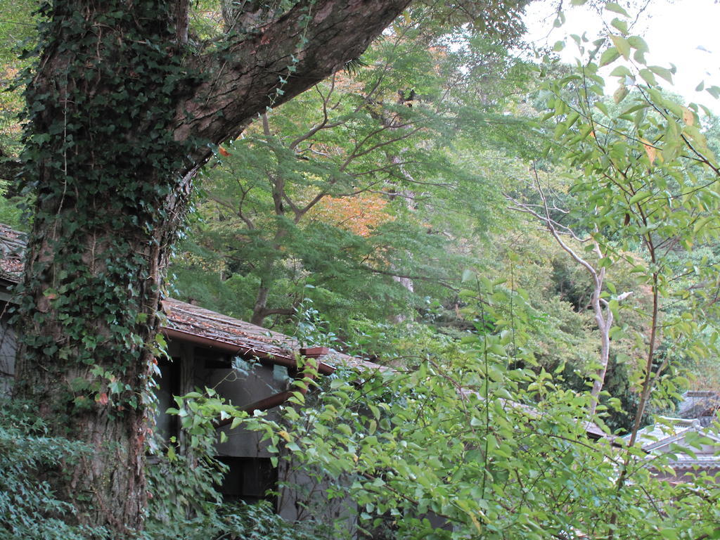 The Deer Park Inn Nara Oda fotoğraf
