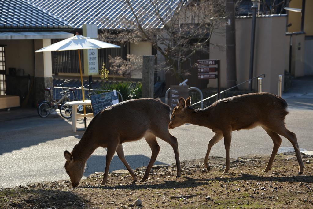 The Deer Park Inn Nara Dış mekan fotoğraf