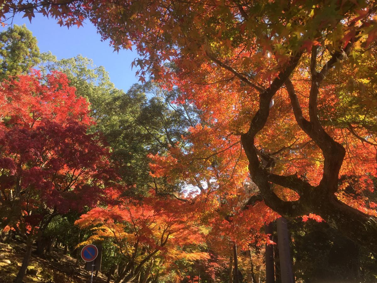 The Deer Park Inn Nara Dış mekan fotoğraf