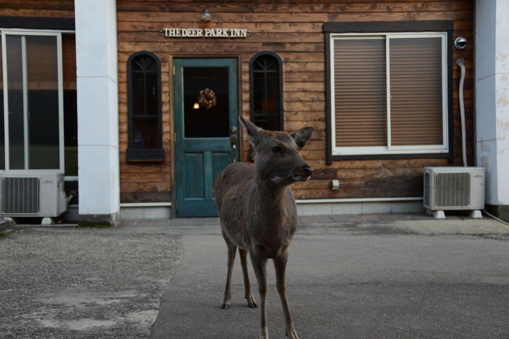 The Deer Park Inn Nara Dış mekan fotoğraf